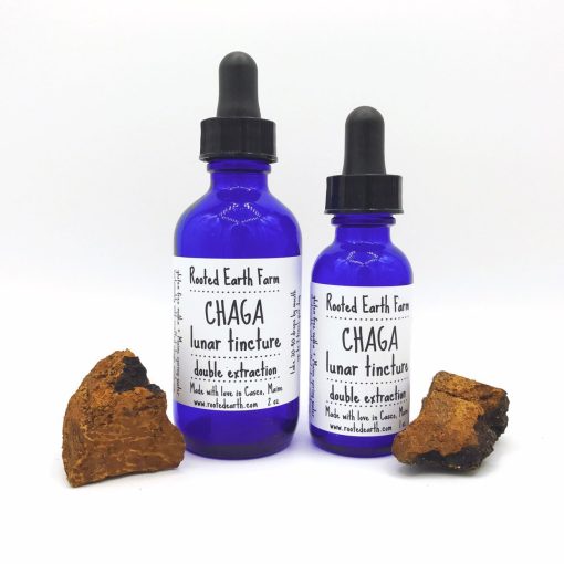 Chaga Mushroom Tincture