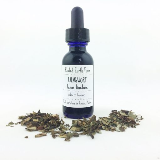 Lungwort Tincture