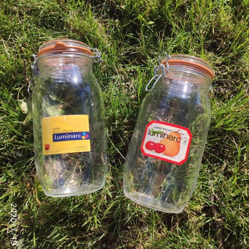 Pair (2) Vintage 2L French Canning Jars - Style 2 - Image 5