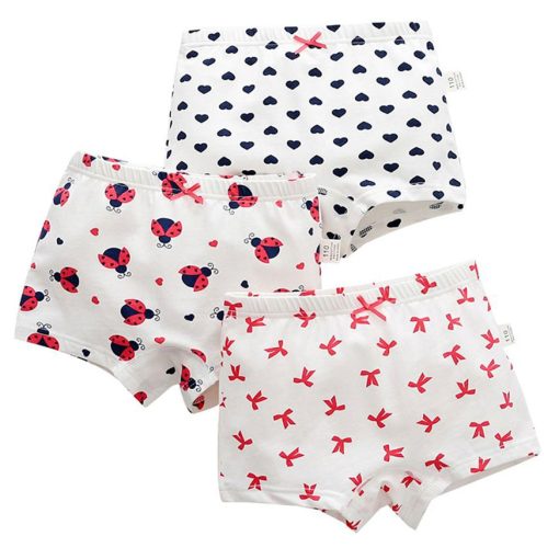 Cotton Boxer Briefs (10-12yrs Girls) - Image 12