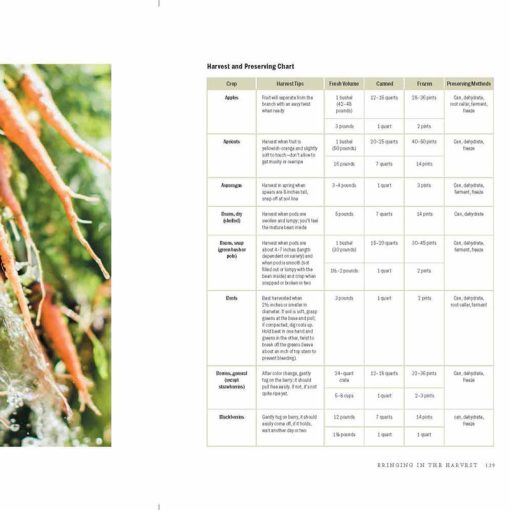 The Family Garden Plan - Image 3