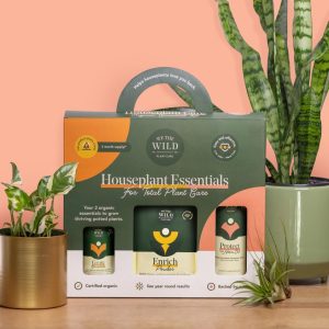 Houseplant Care Essentials Kit