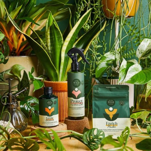 Houseplant Care Essentials Kit - Image 2