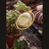 9L Powder Coated Steel Watering Can - Image 5