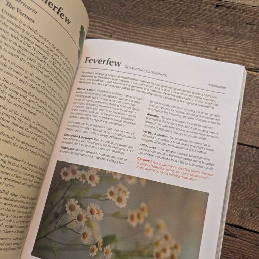 Herbalist's Bible By Julie Bruton-Seal - Image 2