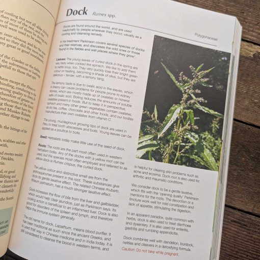 Herbalist's Bible By Julie Bruton-Seal - Image 3