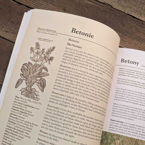 Herbalist's Bible By Julie Bruton-Seal - Image 4