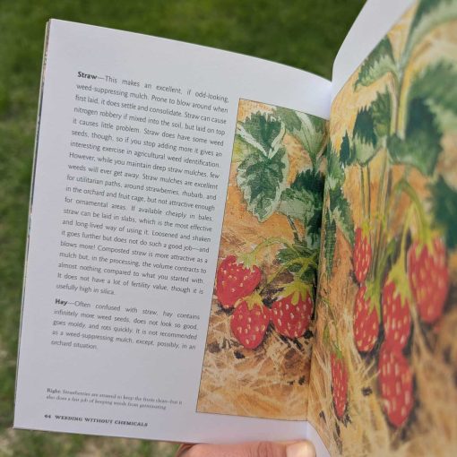 Weeding Without Chemicals by Bob Flowerdew - Image 4