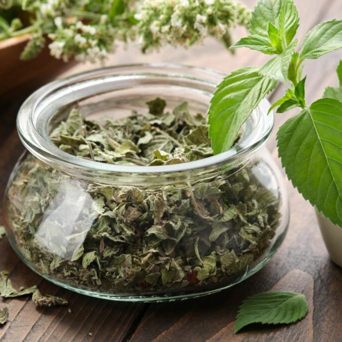 Organic Dried Peppermint Leaf - Image 4